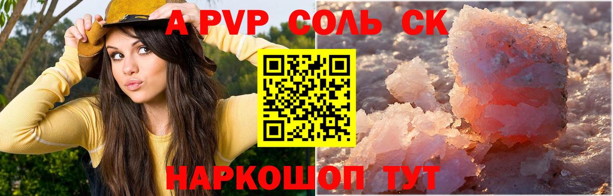 Альфа ПВП СК Туапсе