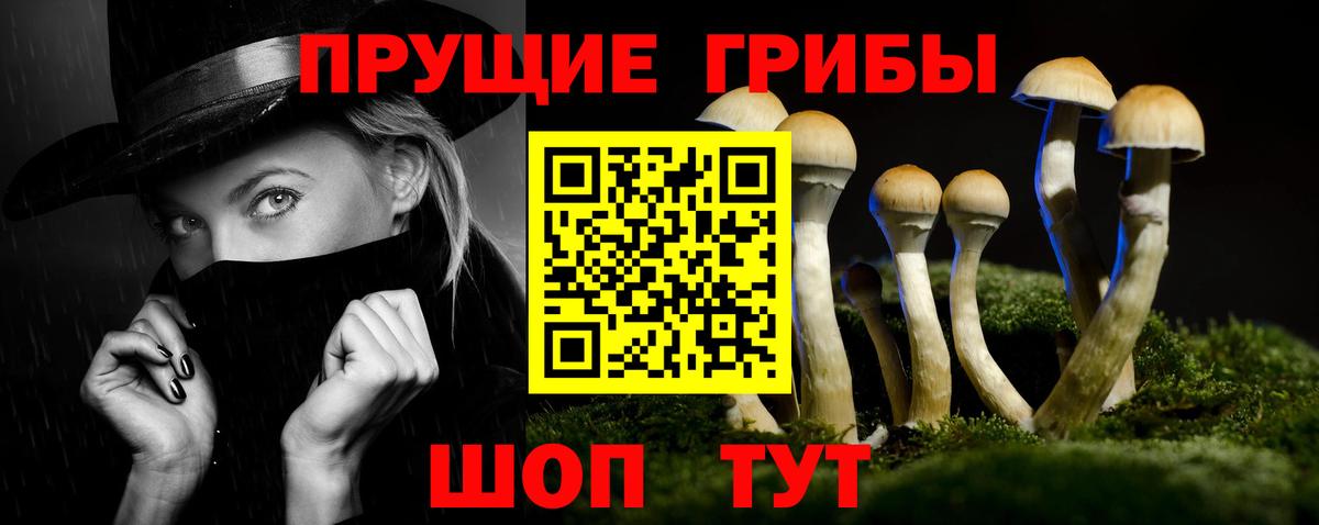 Псилоцибиновые грибы мицелий  Вход с VPN  Туапсе 